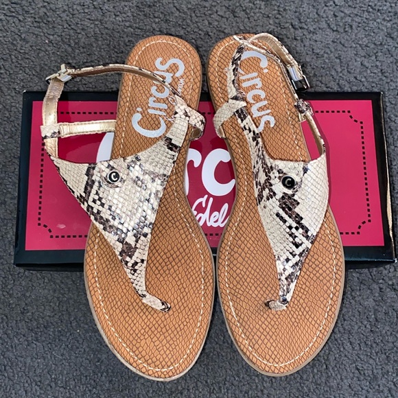 👡🆕Womens Sam Edelman sandals🆕👡 - Picture 5 of 8